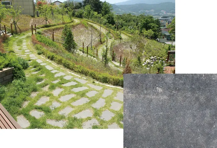 풋노츠